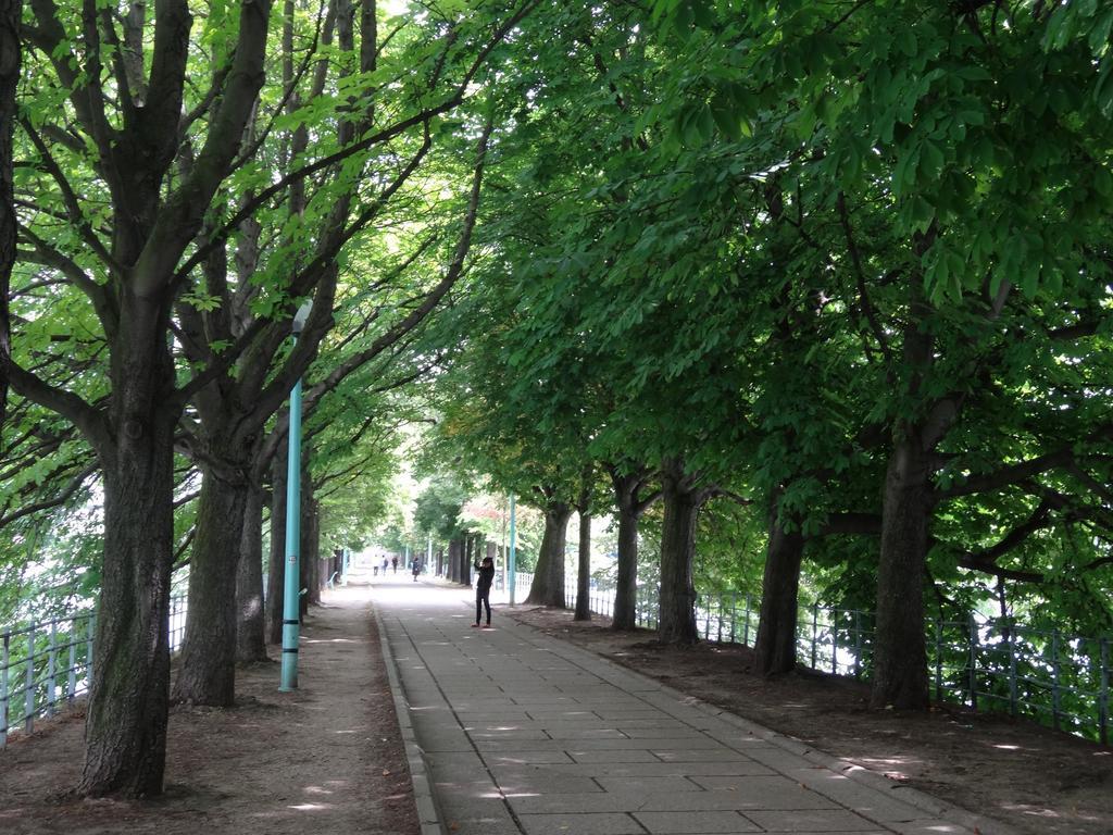 巴黎Passerelle Des Arts住宿加早餐旅馆 外观 照片